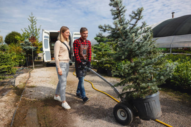 Professional Tree Services in Harvard, NE